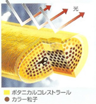記事写真