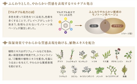 記事写真