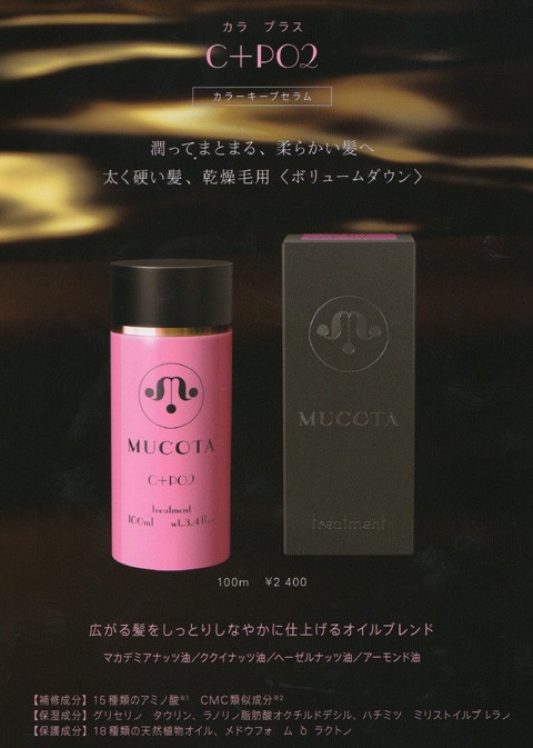 記事写真