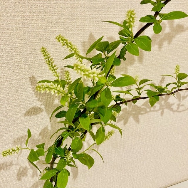 記事写真