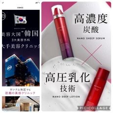 記事写真