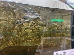 記事写真